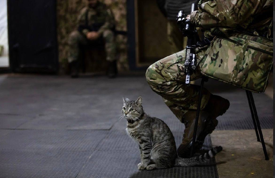 Нажмите на изображение для увеличения.

Название:	image.png
Просмотров:	29
Размер:	928.1 Кб
ID:	10743662