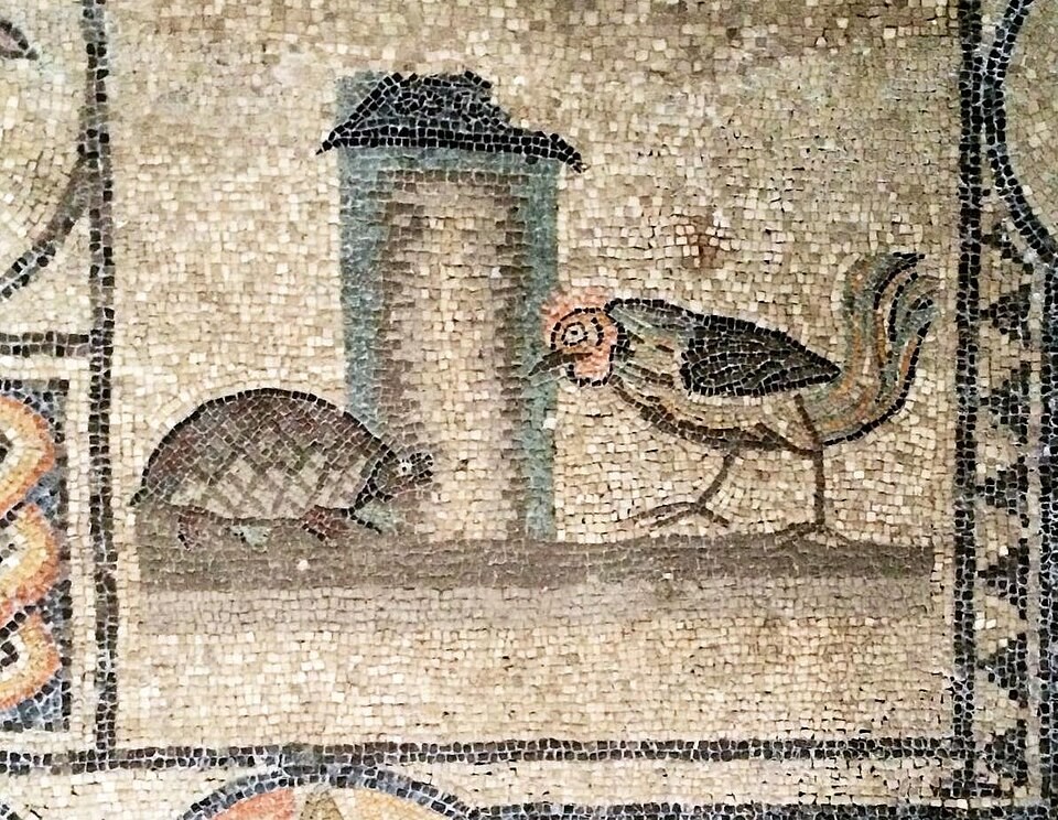 Нажмите на изображение для увеличения.

Название:	960px-Rooster%26TortoiseSOUTHROOM.jpg
Просмотров:	22
Размер:	312.7 Кб
ID:	10747794