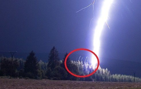 Нажмите на изображение для увеличения.

Название:	image.png
Просмотров:	14
Размер:	159.4 Кб
ID:	10749982