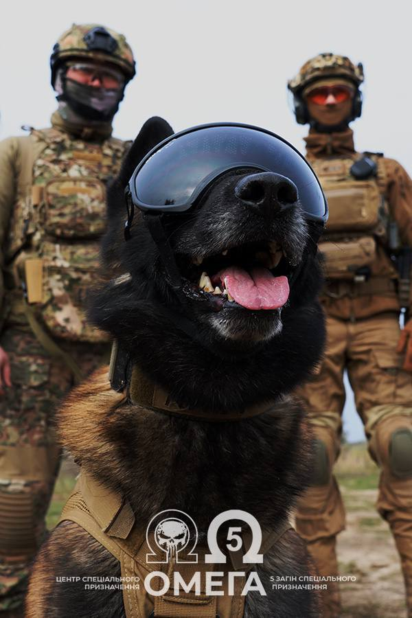 Нажмите на изображение для увеличения.

Название:	image.png
Просмотров:	37
Размер:	731.9 Кб
ID:	10750580