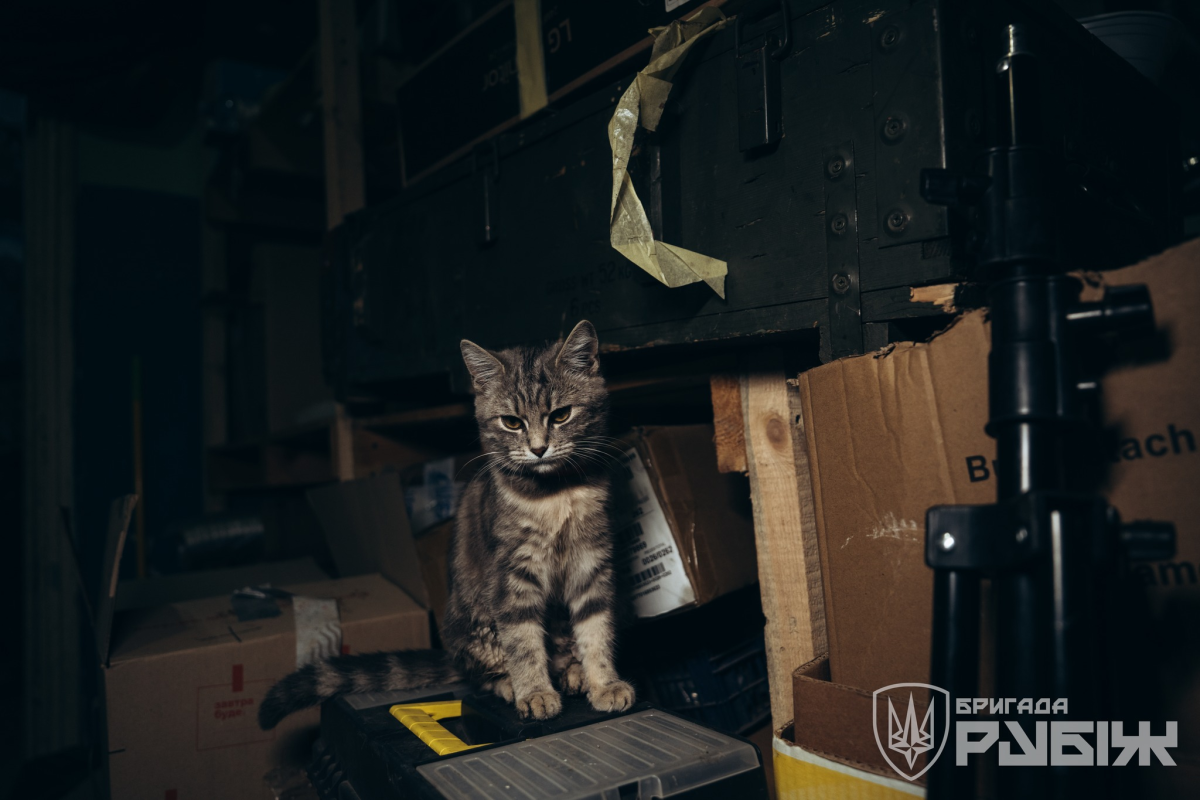 Нажмите на изображение для увеличения.

Название:	image.png
Просмотров:	36
Размер:	859.5 Кб
ID:	10750583