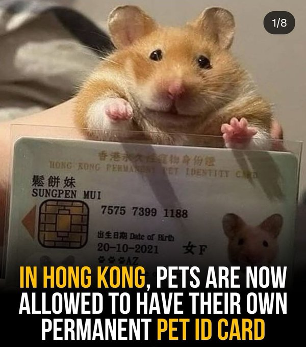 Нажмите на изображение для увеличения.

Название:	image.png
Просмотров:	41
Размер:	448.7 Кб
ID:	10750919