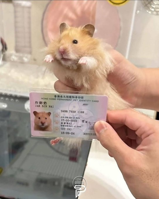 Нажмите на изображение для увеличения.

Название:	image.png
Просмотров:	38
Размер:	386.1 Кб
ID:	10750920