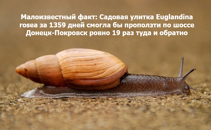 Нажмите на изображение для увеличения.

Название:	image.png
Просмотров:	39
Размер:	322.3 Кб
ID:	10752063