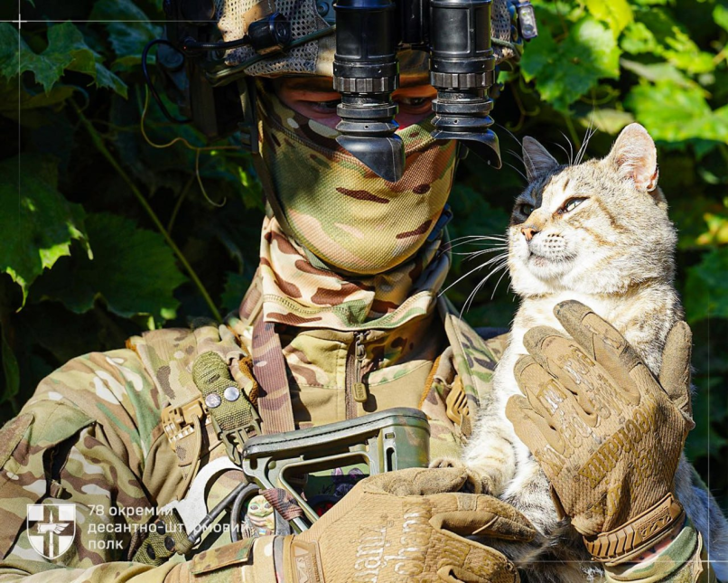 Нажмите на изображение для увеличения.

Название:	image.png
Просмотров:	38
Размер:	1.06 Мб
ID:	10752331