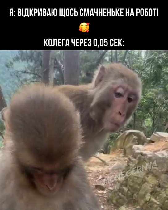 Нажмите на изображение для увеличения.

Название:	image.png
Просмотров:	15
Размер:	355.8 Кб
ID:	10752874