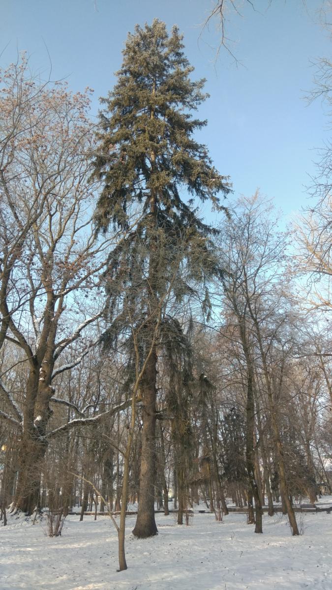 Нажмите на изображение для увеличения.

Название:	IMG_20211223_112403.jpg
Просмотров:	1
Размер:	178.2 Кб
ID:	10157315