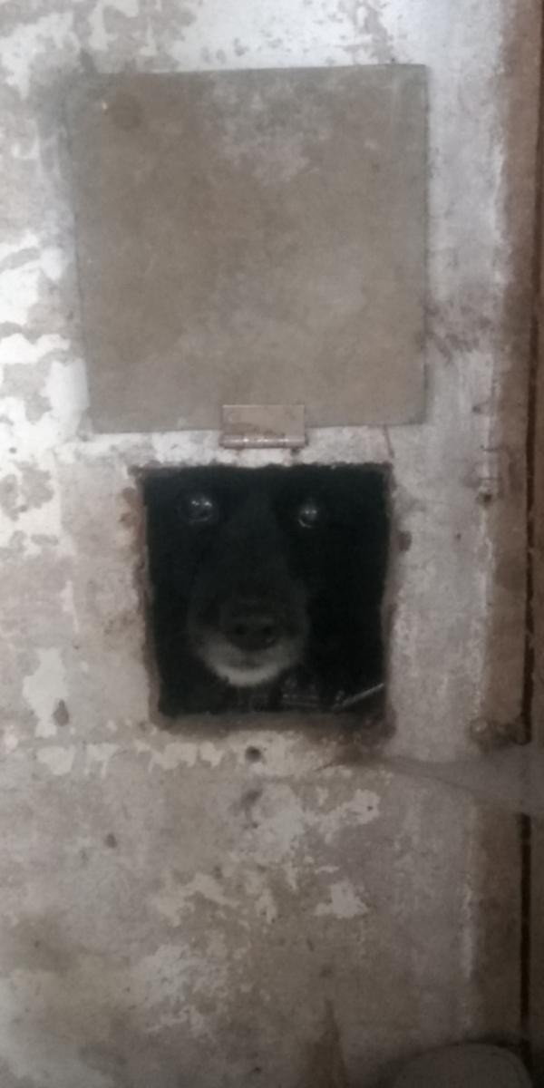 Нажмите на изображение для увеличения.

Название:	Screenshot_2022-10-27-19-19-24-174_com.miui.gallery.jpg
Просмотров:	1
Размер:	49.8 Кб
ID:	10158907