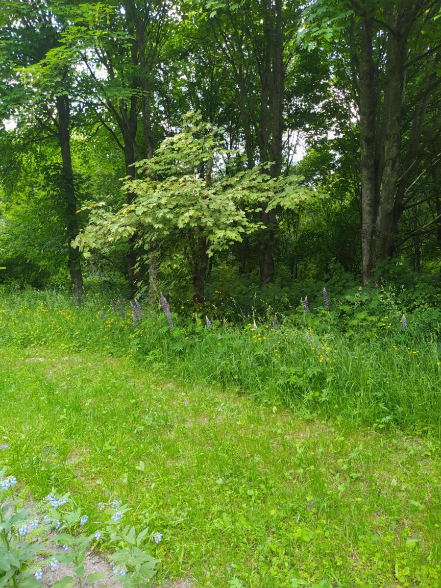 Нажмите на изображение для увеличения.

Название:	IMG-a88644be2c9e5b2f795b56124c513218-V.jpg
Просмотров:	1
Размер:	292.0 Кб
ID:	10157302