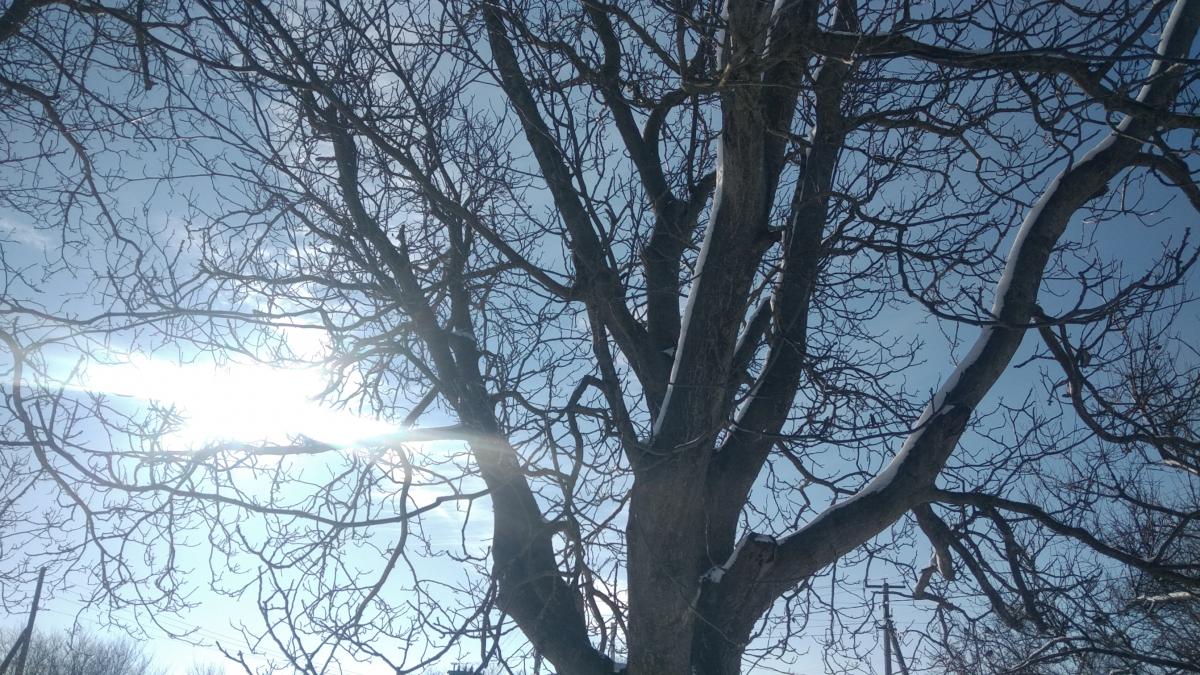 Нажмите на изображение для увеличения.

Название:	IMG_20220112_125143.jpg
Просмотров:	1
Размер:	202.4 Кб
ID:	10157342