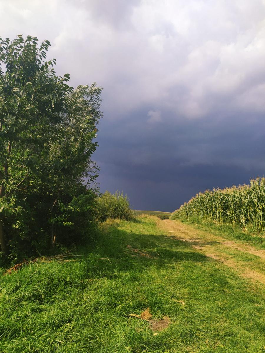 Нажмите на изображение для увеличения.

Название:	IMG-926859ffe7361eb37a03938ad161c104-V.jpg
Просмотров:	1
Размер:	195.3 Кб
ID:	10157304