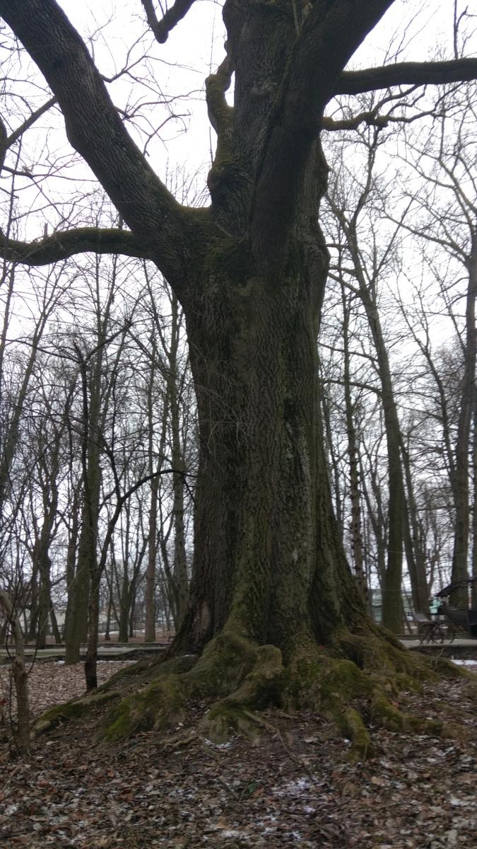 Нажмите на изображение для увеличения.

Название:	IMG_20220119_104422.jpg
Просмотров:	1
Размер:	183.5 Кб
ID:	10157380