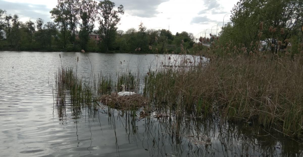 Нажмите на изображение для увеличения.

Название:	IMG_20220520_230133.jpg
Просмотров:	1
Размер:	131.0 Кб
ID:	10158231