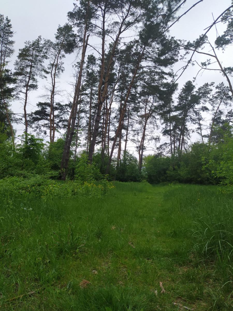 Нажмите на изображение для увеличения.

Название:	IMG-9a768a7a7fbaf2bfb41f8aae8f488e58-V.jpg
Просмотров:	1
Размер:	237.1 Кб
ID:	10157300