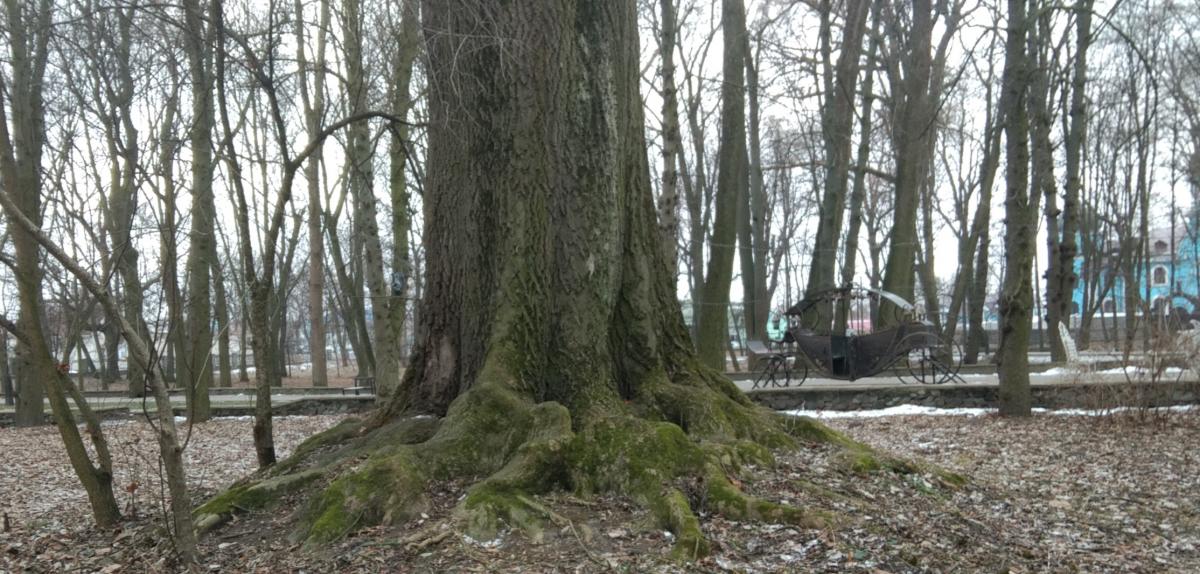 Нажмите на изображение для увеличения.

Название:	IMG_20220119_171600.jpg
Просмотров:	1
Размер:	153.7 Кб
ID:	10157381