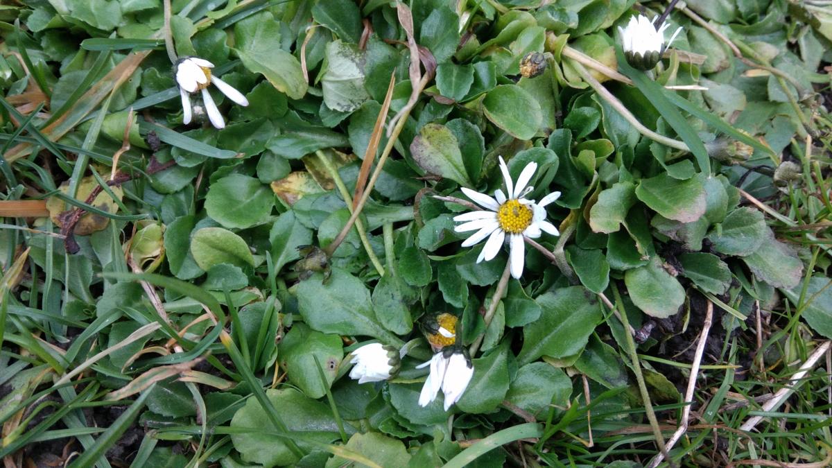 Нажмите на изображение для увеличения.

Название:	IMG_20220106_154119.jpg
Просмотров:	1
Размер:	165.0 Кб
ID:	10157287