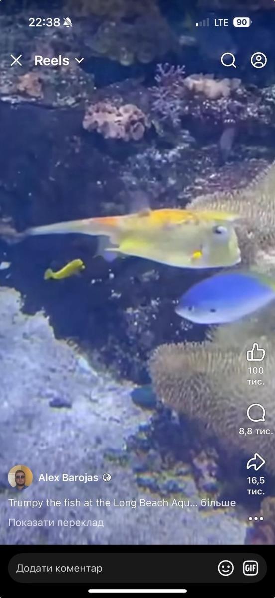 Нажмите на изображение для увеличения.  Название:	79cfcd75-f7dd-4210-af0a-a2713ac7facd.jpg Просмотров:	0 Размер:	67.7 Кб ID:	10762193