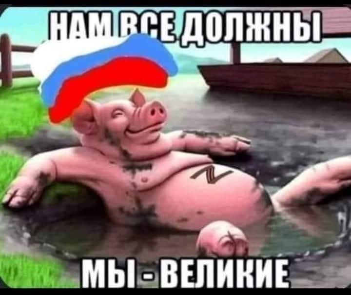 Нажмите на изображение для увеличения.

Название:	51bfd309-b548-4977-b270-40e23e0ff1f6.jpg
Просмотров:	34
Размер:	55.8 Кб
ID:	10762421