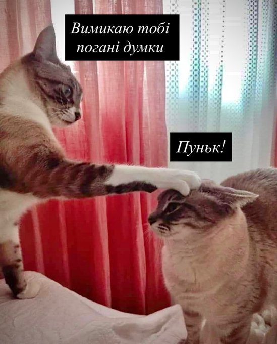 Нажмите на изображение для увеличения.

Название:	image.png
Просмотров:	9
Размер:	472.1 Кб
ID:	10762900