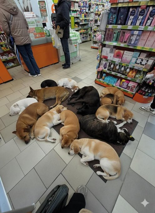 Нажмите на изображение для увеличения.

Название:	image.png
Просмотров:	14
Размер:	580.5 Кб
ID:	10763660