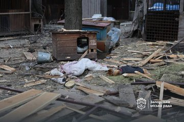 Нажмите на изображение для увеличения.

Название:	image.png
Просмотров:	0
Размер:	165.3 Кб
ID:	10768692