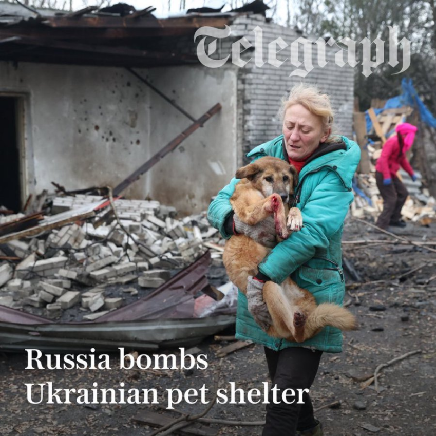 Нажмите на изображение для увеличения.

Название:	image.png
Просмотров:	0
Размер:	1.01 Мб
ID:	10769000