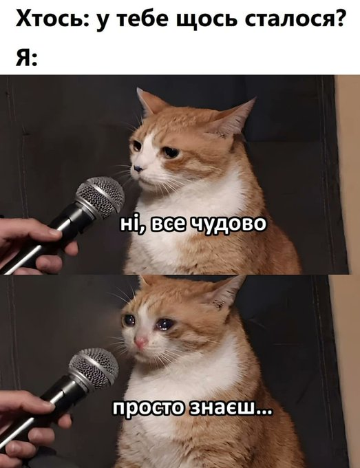 Нажмите на изображение для увеличения.

Название:	image.png
Просмотров:	0
Размер:	363.8 Кб
ID:	10772611