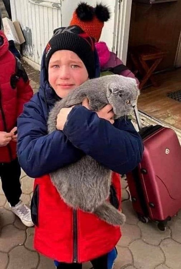 Нажмите на изображение для увеличения.

Название:	image.png
Просмотров:	19
Размер:	740.0 Кб
ID:	10773308