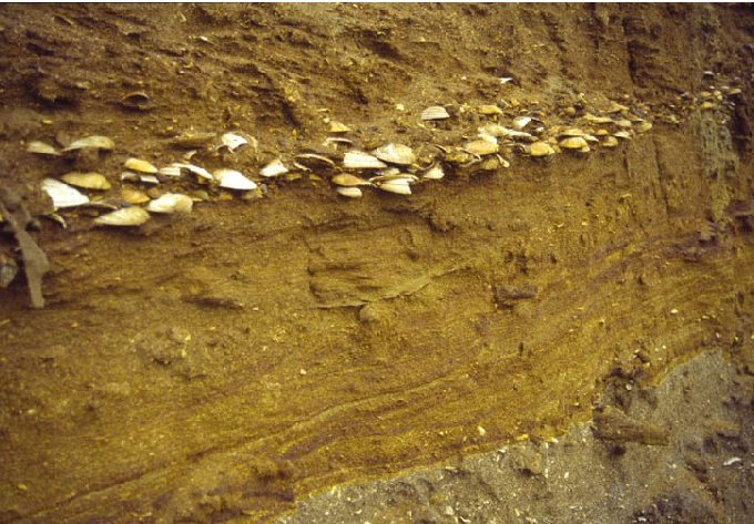 Нажмите на изображение для увеличения.

Название:	СлойПотопа_stormbedshells.jpg
Просмотров:	1
Размер:	97.8 Кб
ID:	10140555