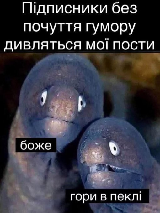 Нажмите на изображение для увеличения.

Название:	image.png
Просмотров:	15
Размер:	369.3 Кб
ID:	10777629