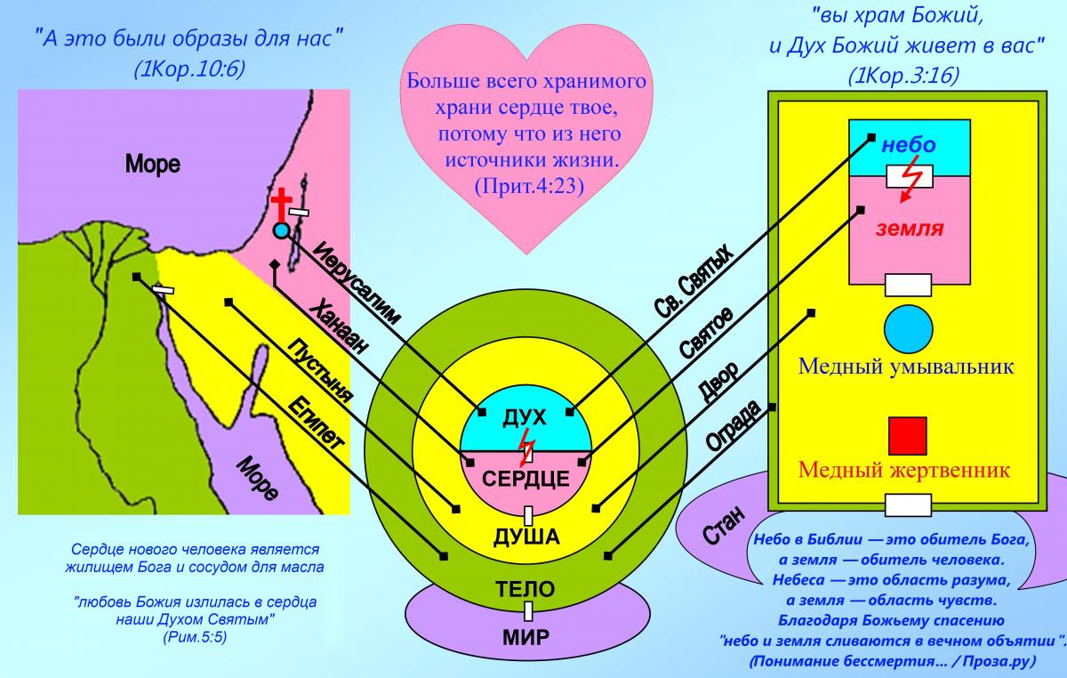 Нажмите на изображение для увеличения.

Название:	человек7.jpg
Просмотров:	1
Размер:	142.8 Кб
ID:	10626876