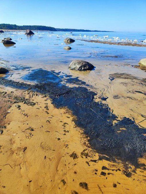 Нажмите на изображение для увеличения.

Название:	image.png
Просмотров:	0
Размер:	652.2 Кб
ID:	10781817