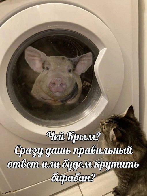 Нажмите на изображение для увеличения.

Название:	image.png
Просмотров:	28
Размер:	444.7 Кб
ID:	10782299