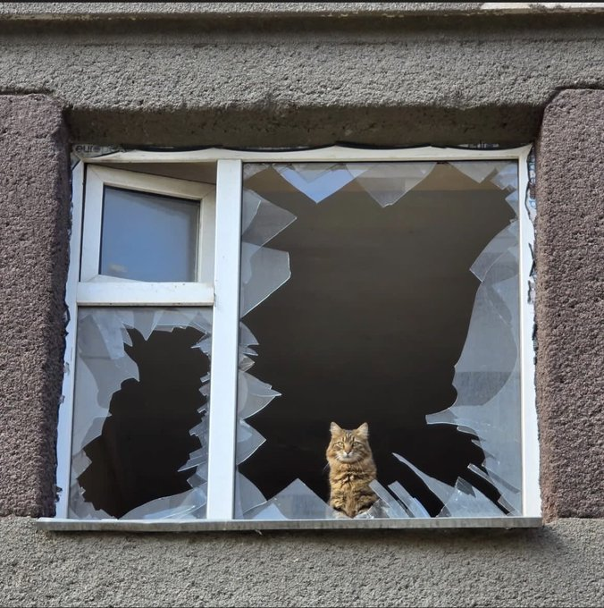 Нажмите на изображение для увеличения.

Название:	image.png
Просмотров:	0
Размер:	689.6 Кб
ID:	10784546