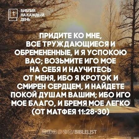 Нажмите на изображение для увеличения.

Название:	17768843541126777108683125393733.jpg
Просмотров:	0
Размер:	78.5 Кб
ID:	10785265
