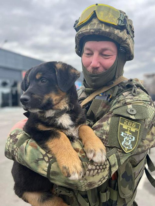 Нажмите на изображение для увеличения.

Название:	image.png
Просмотров:	17
Размер:	556.9 Кб
ID:	10785583