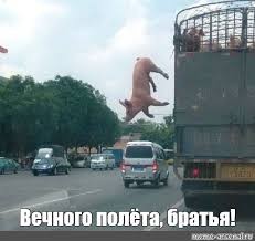 Нажмите на изображение для увеличения.  Название:	IMG_9062.jpg Просмотров:	0 Размер:	13.5 Кб ID:	10785774