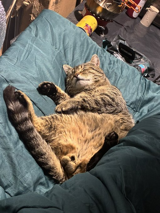 Нажмите на изображение для увеличения.

Название:	image.png
Просмотров:	0
Размер:	655.6 Кб
ID:	10785931