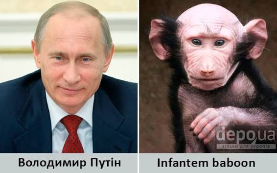 Нажмите на изображение для увеличения.

Название:	IMG_9206.jpg
Просмотров:	0
Размер:	40.2 Кб
ID:	10787383