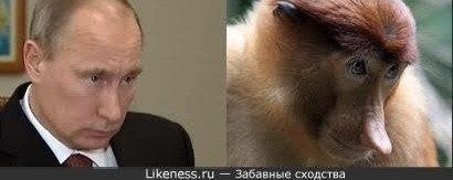 Нажмите на изображение для увеличения.  Название:	IMG_9203.jpg Просмотров:	0 Размер:	17.1 Кб ID:	10787622