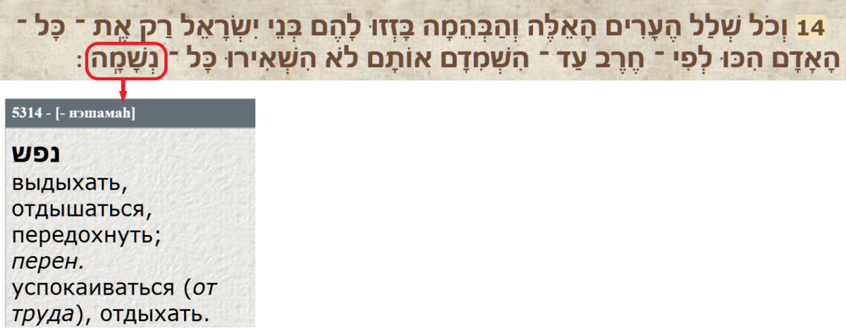 Нажмите на изображение для увеличения.

Название:	002.png
Просмотров:	0
Размер:	348.0 Кб
ID:	10790635
