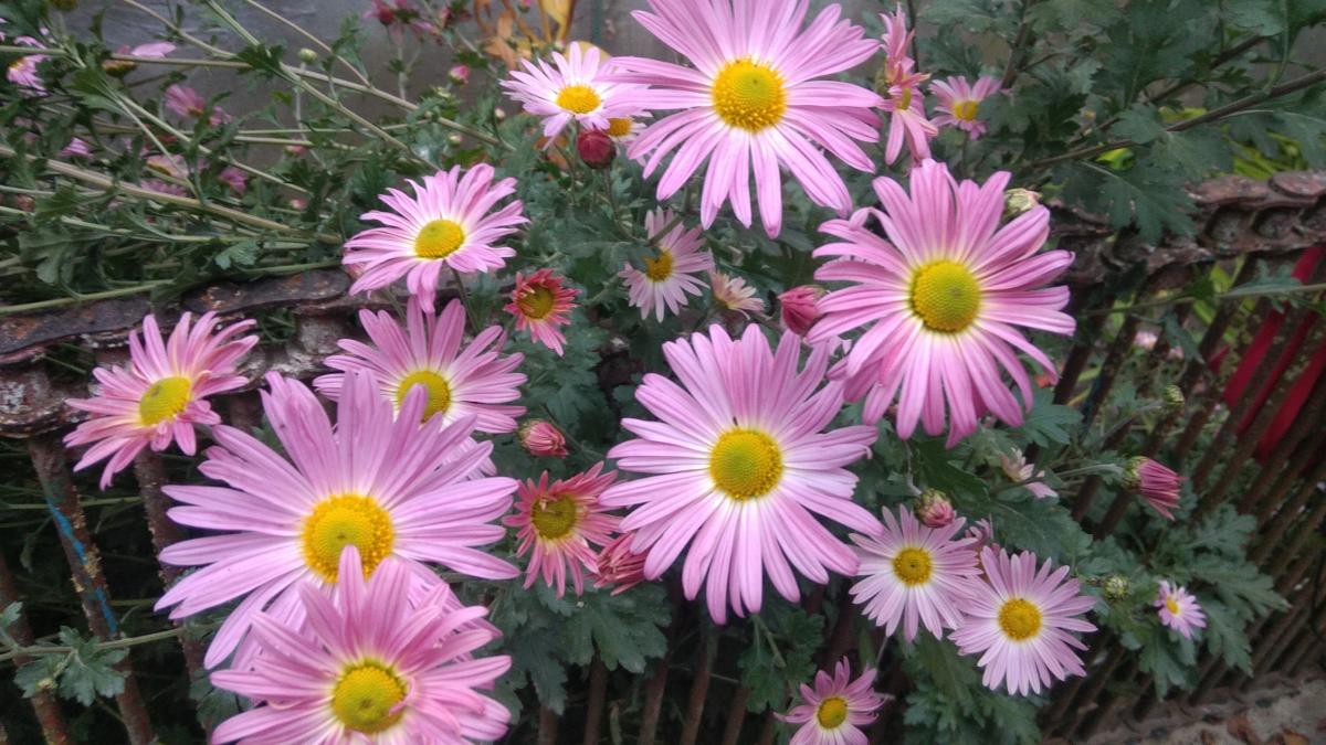 Нажмите на изображение для увеличения.

Название:	IMG_20211017_174209.jpg
Просмотров:	1
Размер:	141.1 Кб
ID:	10156589