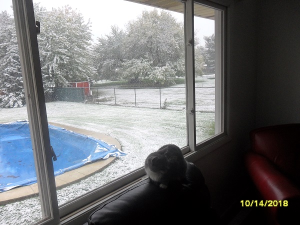 Нажмите на изображение для увеличения.

Название:	First snowfall.jpg
Просмотров:	1
Размер:	178.4 Кб
ID:	10146844