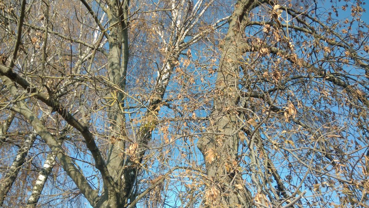 Нажмите на изображение для увеличения.

Название:	IMG_20211101_085305.jpg
Просмотров:	1
Размер:	271.2 Кб
ID:	10156792
