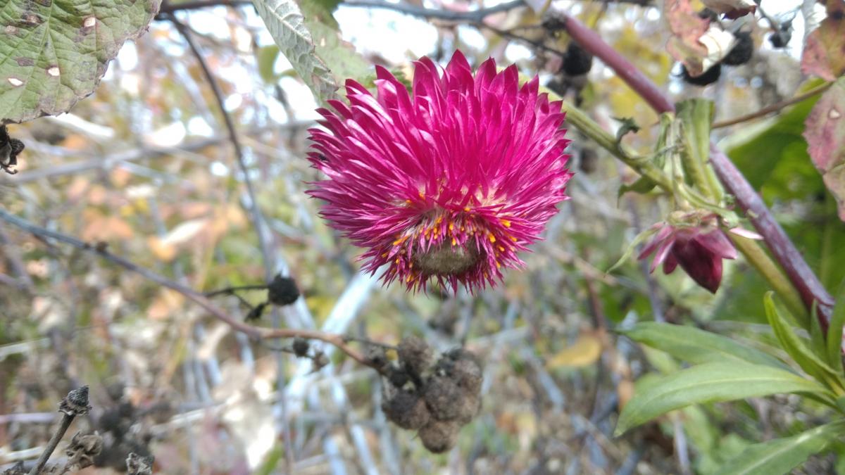Нажмите на изображение для увеличения.

Название:	IMG_20211011_133832.jpg
Просмотров:	1
Размер:	110.2 Кб
ID:	10156492