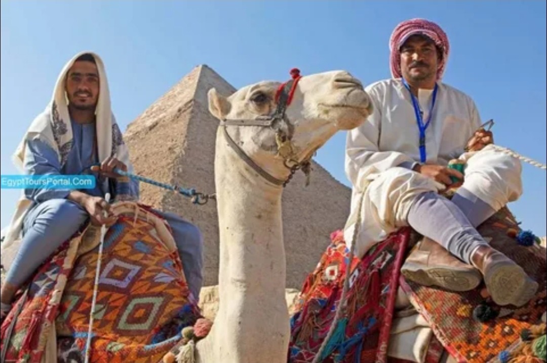 Нажмите на изображение для увеличения.  Название:	IMG_20260618_194820.jpg Просмотров:	0 Размер:	149.0 Кб ID:	10801919