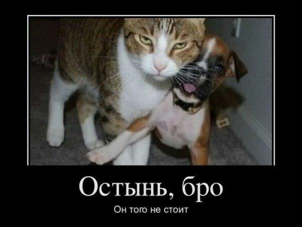 Нажмите на изображение для увеличения.

Название:	406454_332905873398541_1554600032_n.jpg
Просмотров:	1
Размер:	29.6 Кб
ID:	10127326