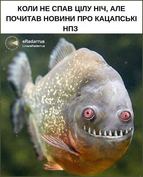 Нажмите на изображение для увеличения.

Название:	image.png
Просмотров:	17
Размер:	503.7 Кб
ID:	10807381
