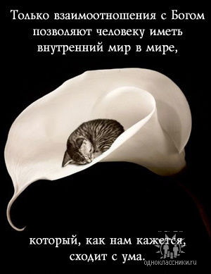 Нажмите на изображение для увеличения.

Название:	50199611_Tolko__s_Bogom.jpg
Просмотров:	1
Размер:	19.5 Кб
ID:	10130109