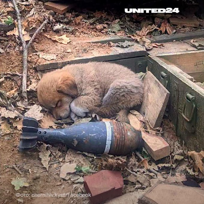 Нажмите на изображение для увеличения.

Название:	image.png
Просмотров:	27
Размер:	894.5 Кб
ID:	10811651